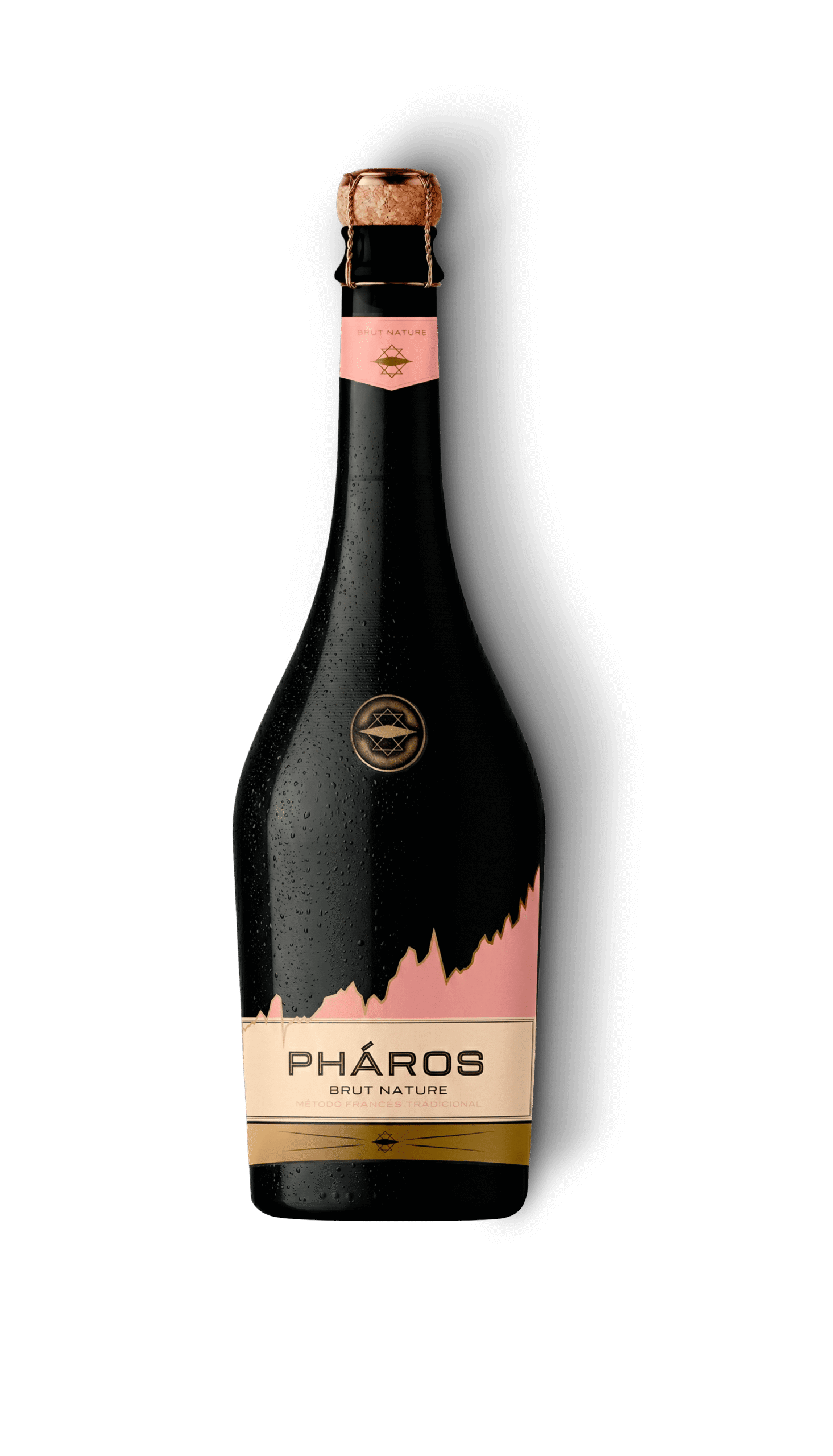 RETOQUE BOTELLA_rose